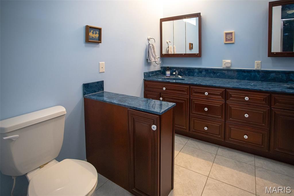 1341 Schleeper Lane Golden Eagle, IL 62036 - Photo 47 of 99