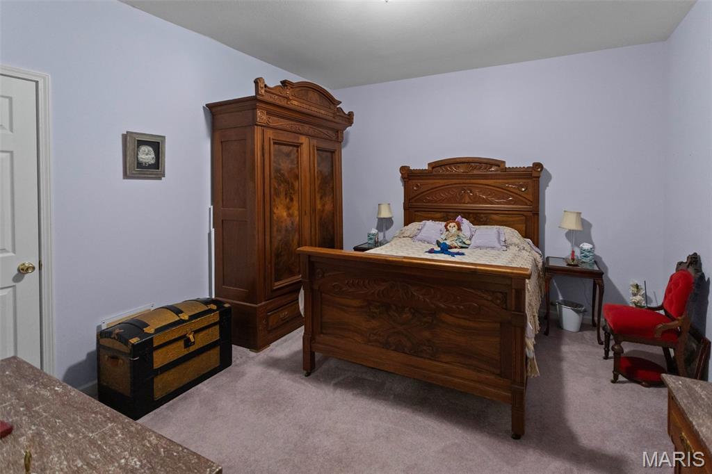 1341 Schleeper Lane Golden Eagle, IL 62036 - Photo 49 of 99