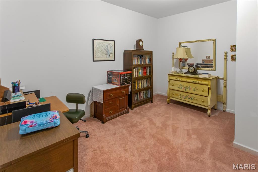 1341 Schleeper Lane Golden Eagle, IL 62036 - Photo 57 of 99
