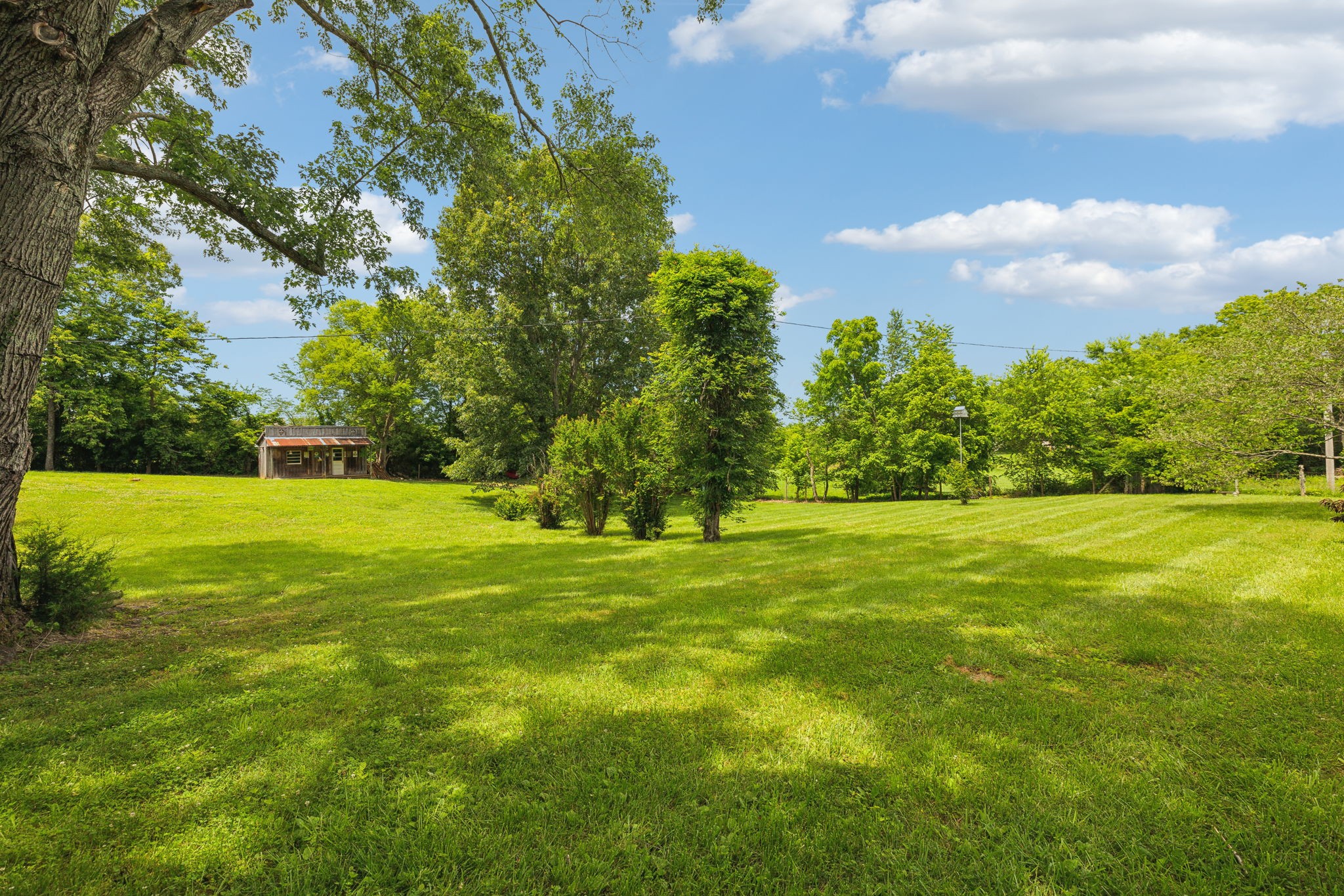 2747 Burgess Gower Road Springfield, TN 37172 - Photo 44 of 65