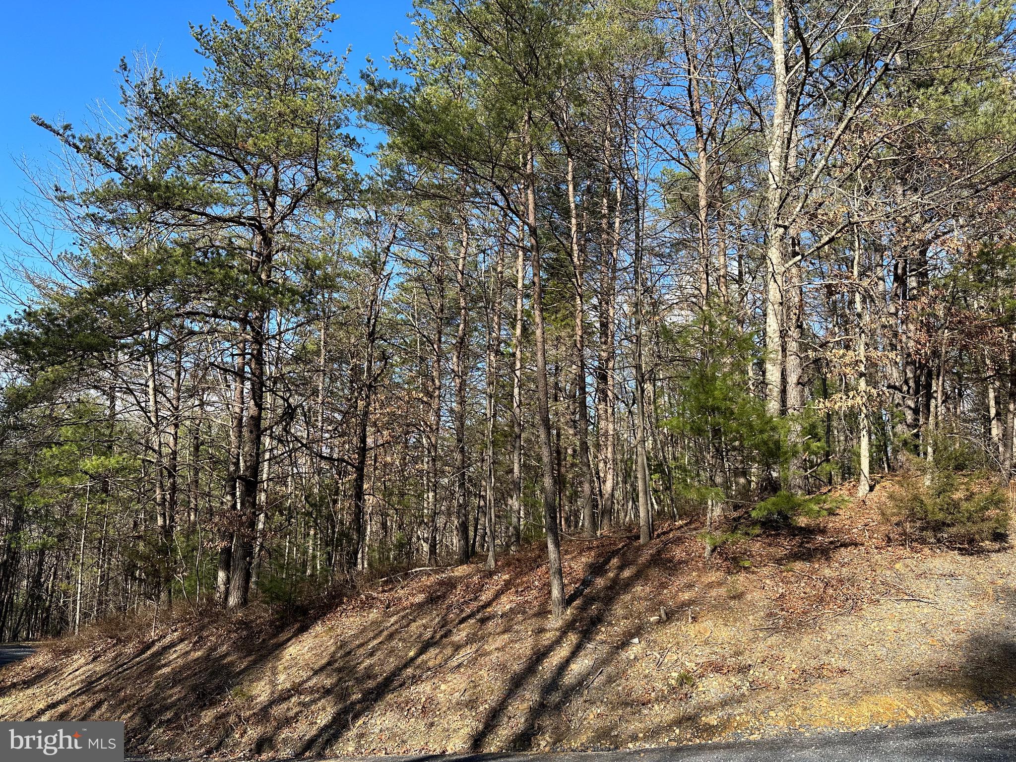 Lot 222 Beaver Rd Mount Mount Jackson, VA 22842 - Photo 1 of 6 Gallery Image 1
