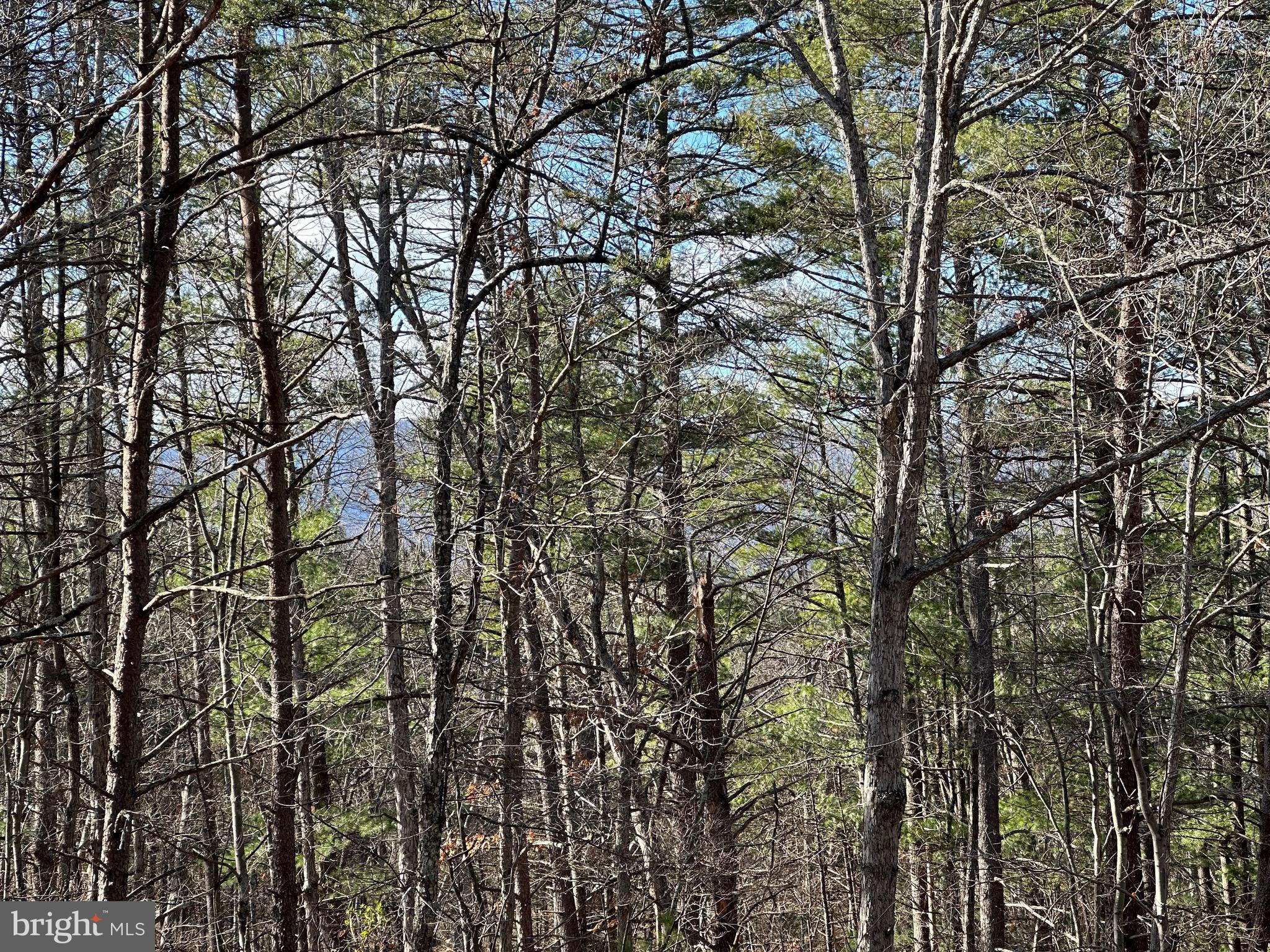 Lot 222 Beaver Rd Mount Mount Jackson, VA 22842 - Photo 2 of 6 Gallery Image 2