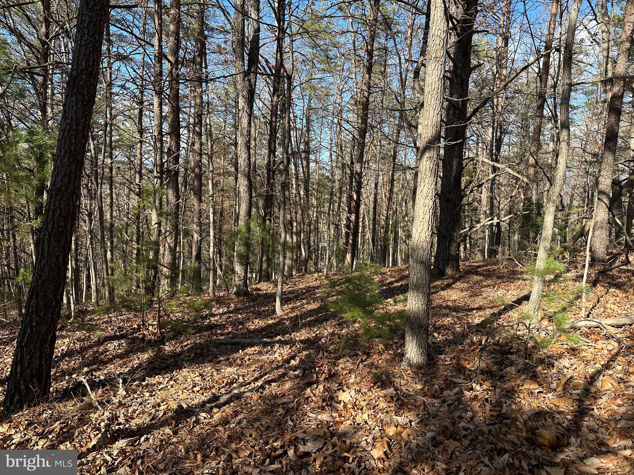 Lot 222 Beaver Rd Mount Mount Jackson, VA 22842 - Photo 3 of 6 Gallery Image 3