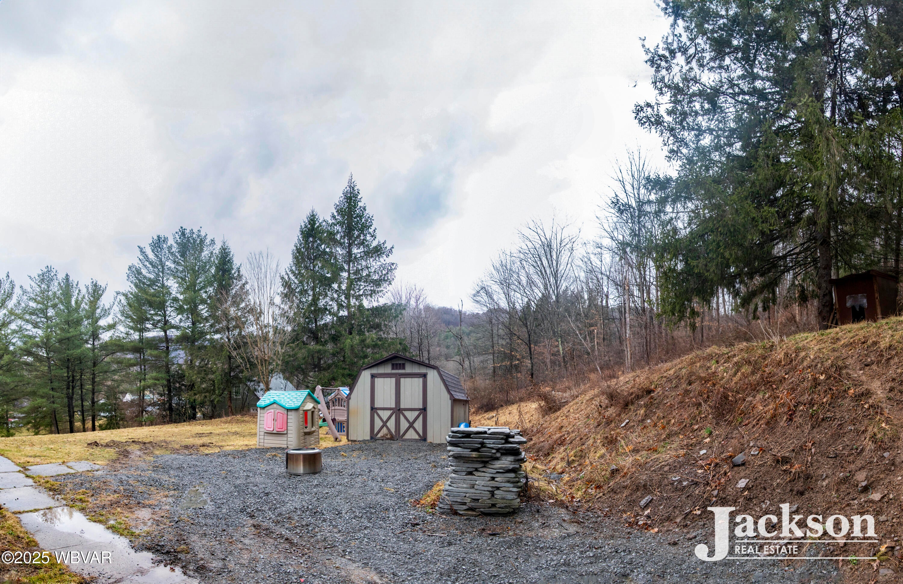 117 Joe Hill Road Roaring Branch, PA 17765 - Photo 7 of 18 Back yard, shed