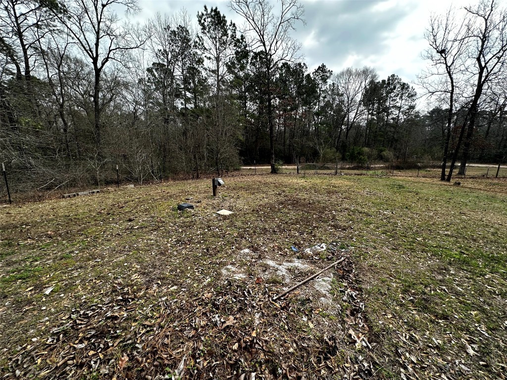 119 Cedar Frst Lane Corrigan, TX 75939 - Photo 28 of 32 a backyard of a house with lots of green space