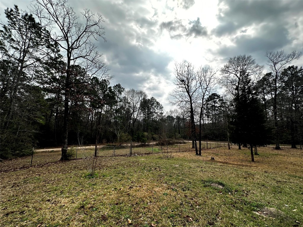 119 Cedar Frst Lane Corrigan, TX 75939 - Photo 30 of 32 a backyard of a house with lots of green space