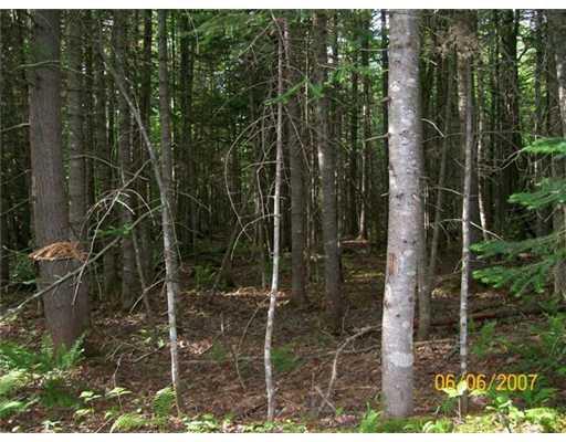 Lot 6 Turner Road Sangerville, ME 04479 - Photo 24 of 25 Land.