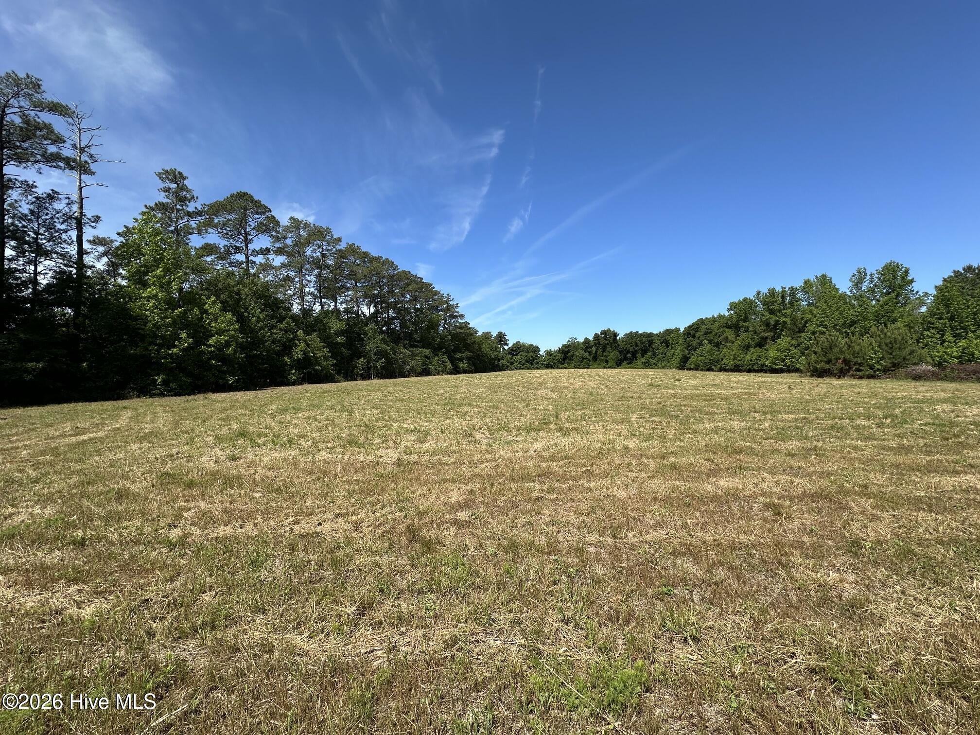 17060 St Johns Church Road Laurel Hill, NC 28351 - Photo 34 of 62 IMG_2255