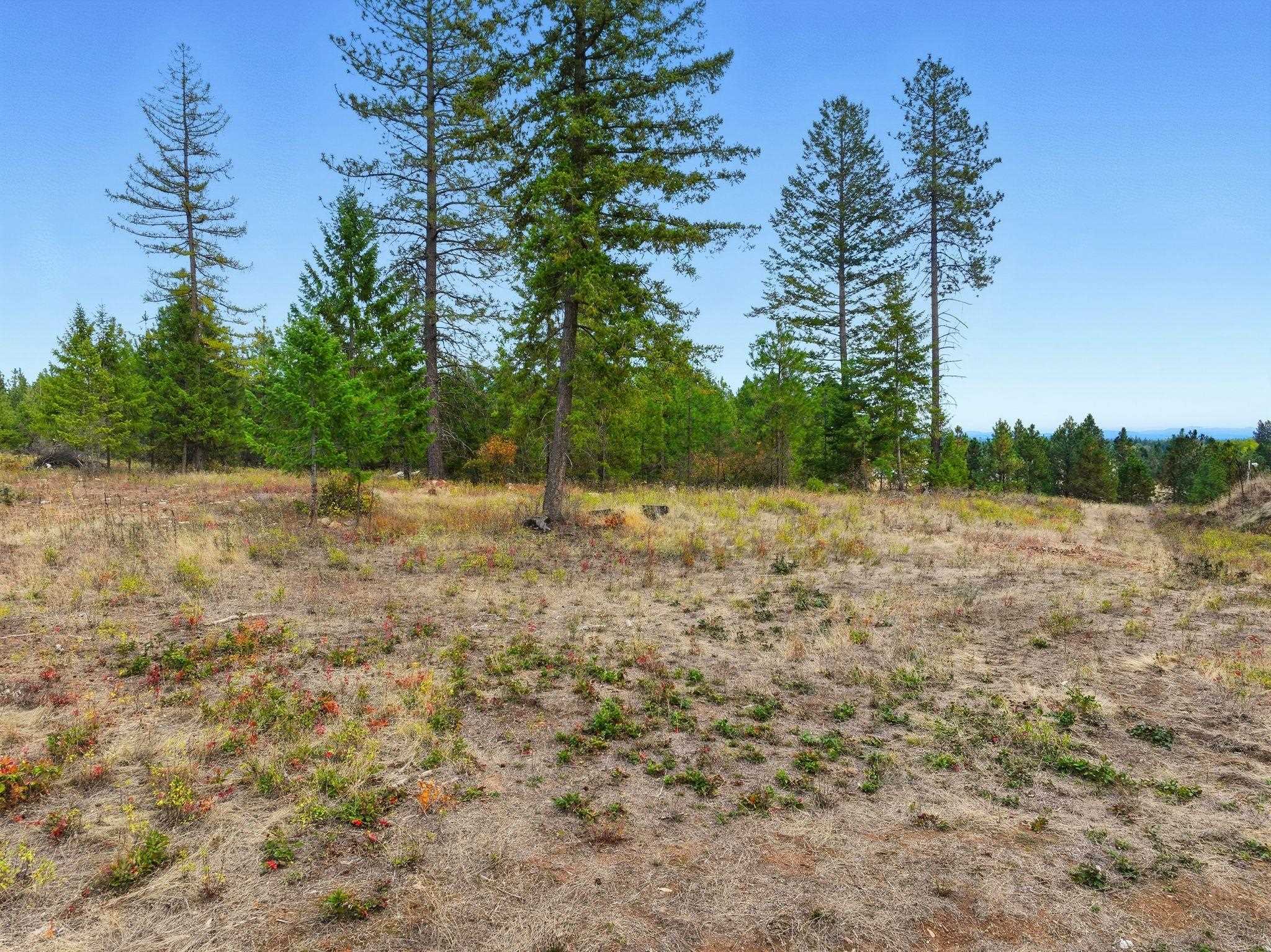 4710 B Price Road Clayton, WA 99110 - Photo 33 of 39 Gallery Image 33