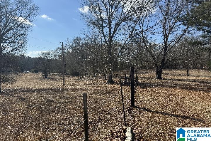 1036 Rushing Springs Road Lincoln, AL 35096 - Photo 21 of 58