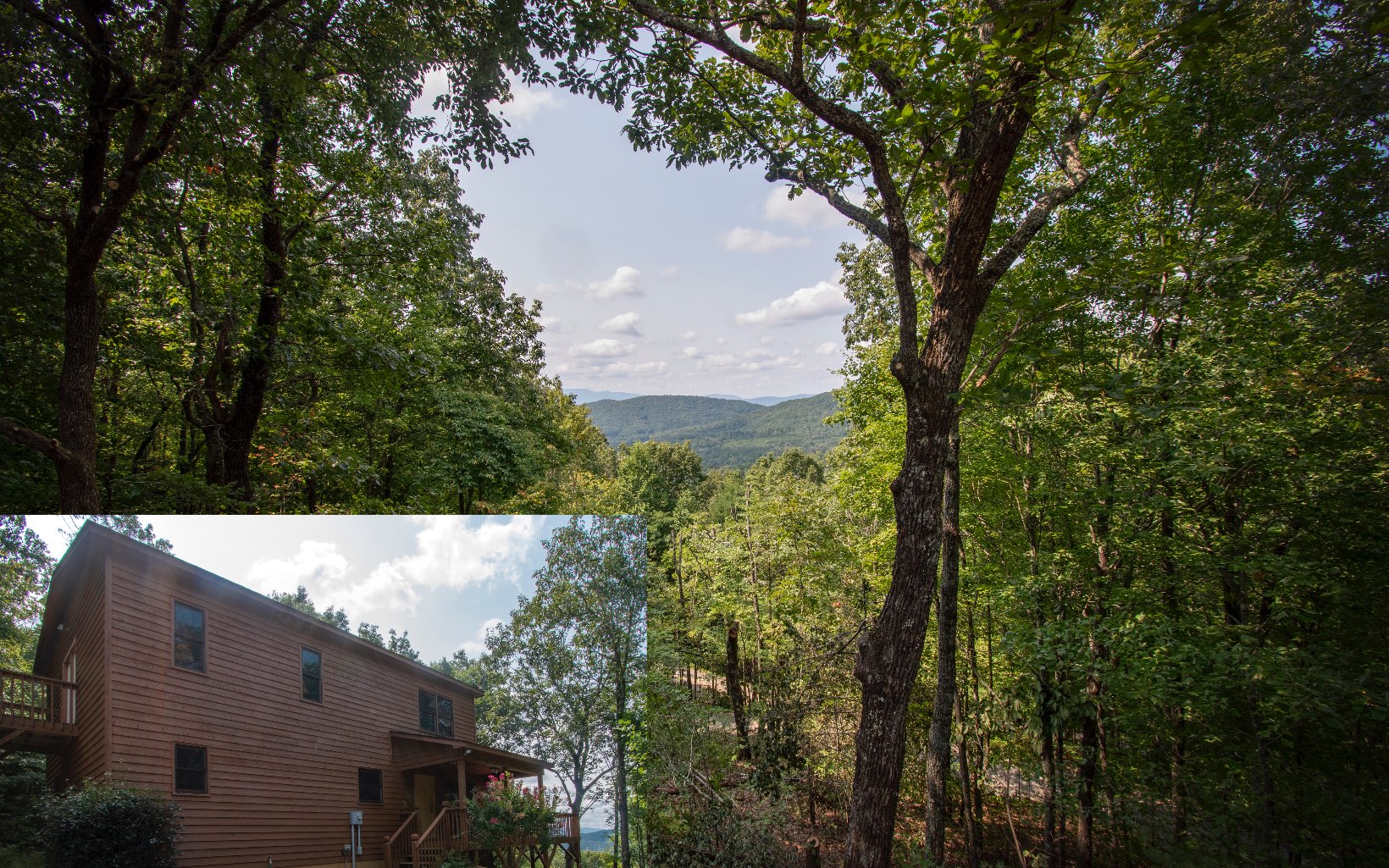 57 Buck Ridge Trail Murphy, NC 28906 - Photo 1 of 4 Main View