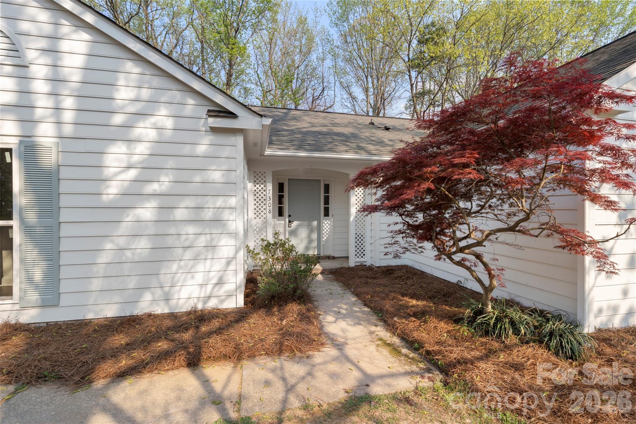 7308 Walterboro Road Charlotte, NC 28227 - Photo 5 of 43 a backyard of a house with large trees and plants