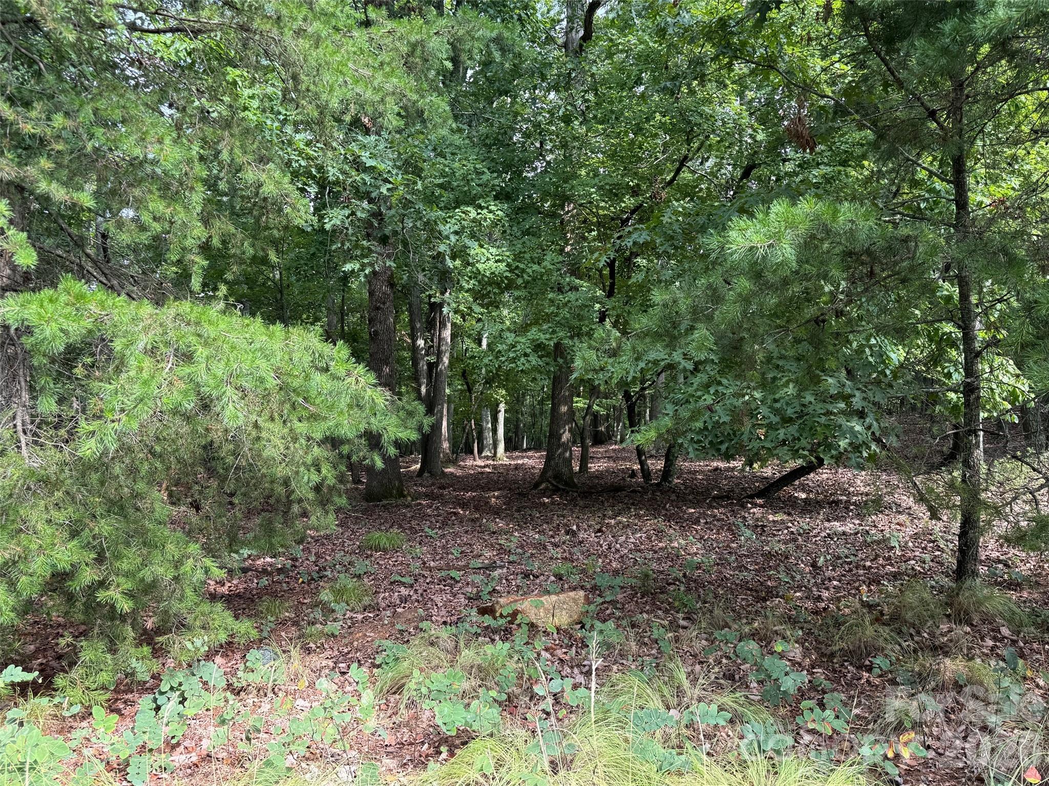 1695 Sierra Trace Road Denton, NC 27239 - Photo 5 of 12