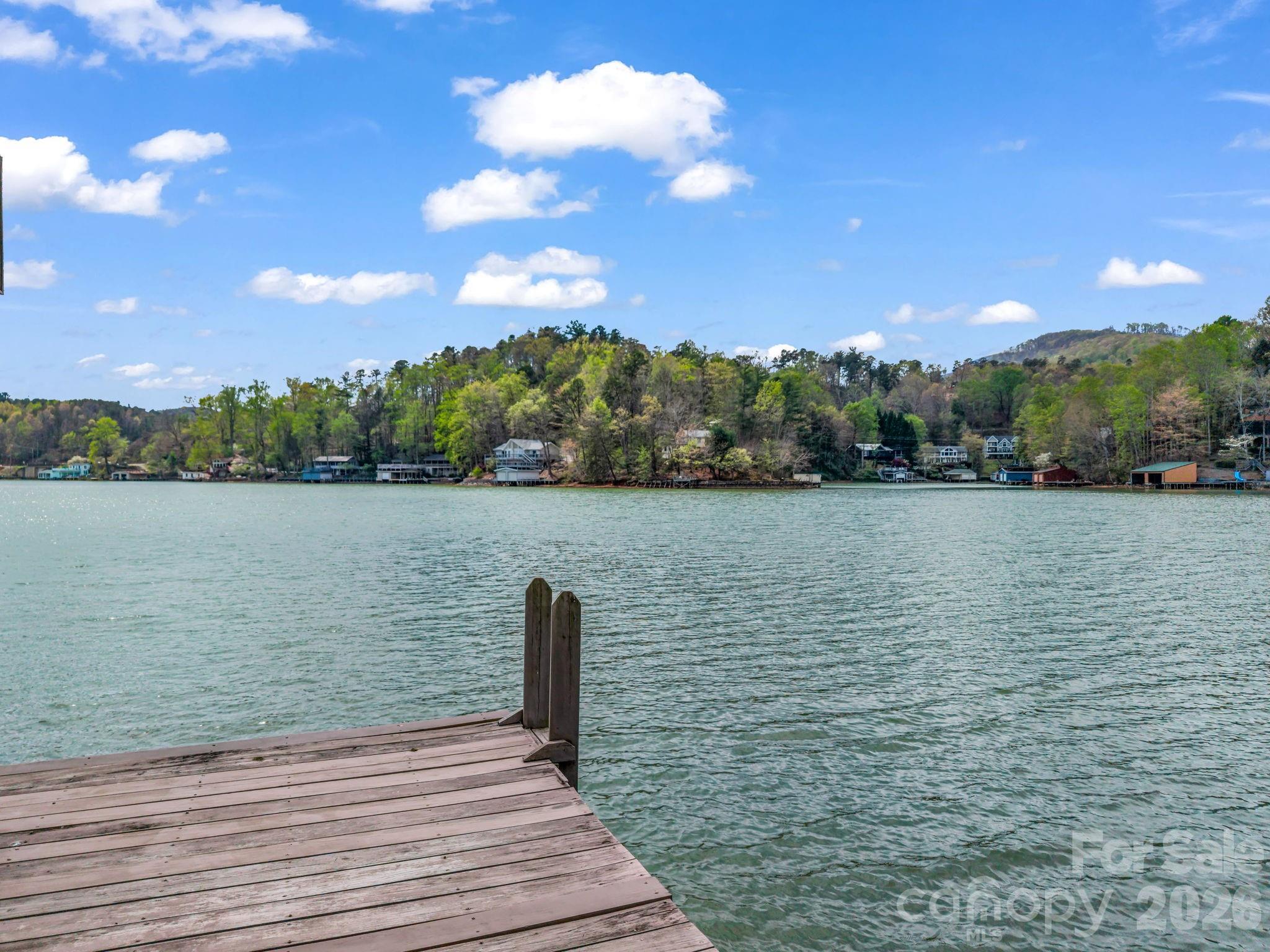 206 Lakeridge Rd Lake Lake Lure, NC 28746 - Photo 38 of 41