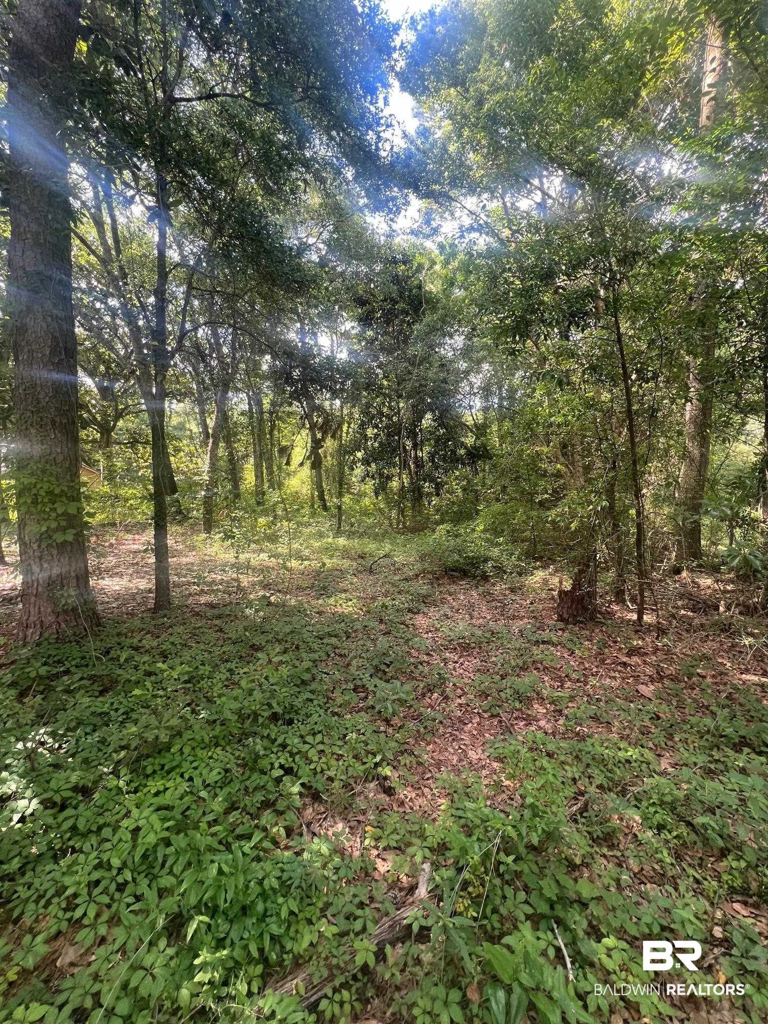 2754 Gonzales Road Mobile, AL 36605 - Photo 4 of 8