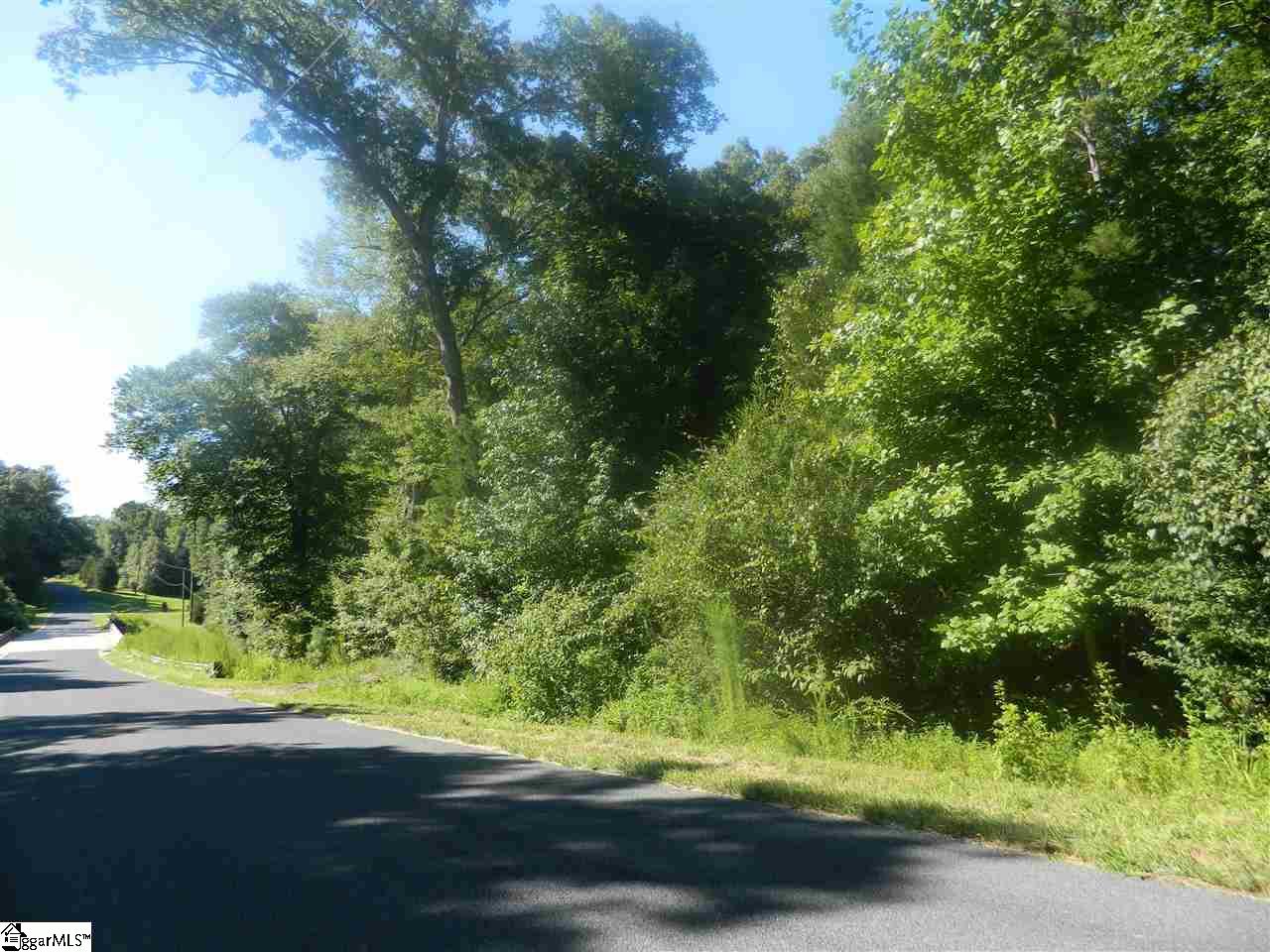 Durbin Church Road Gray Court, SC 29645 - Photo 2 of 23