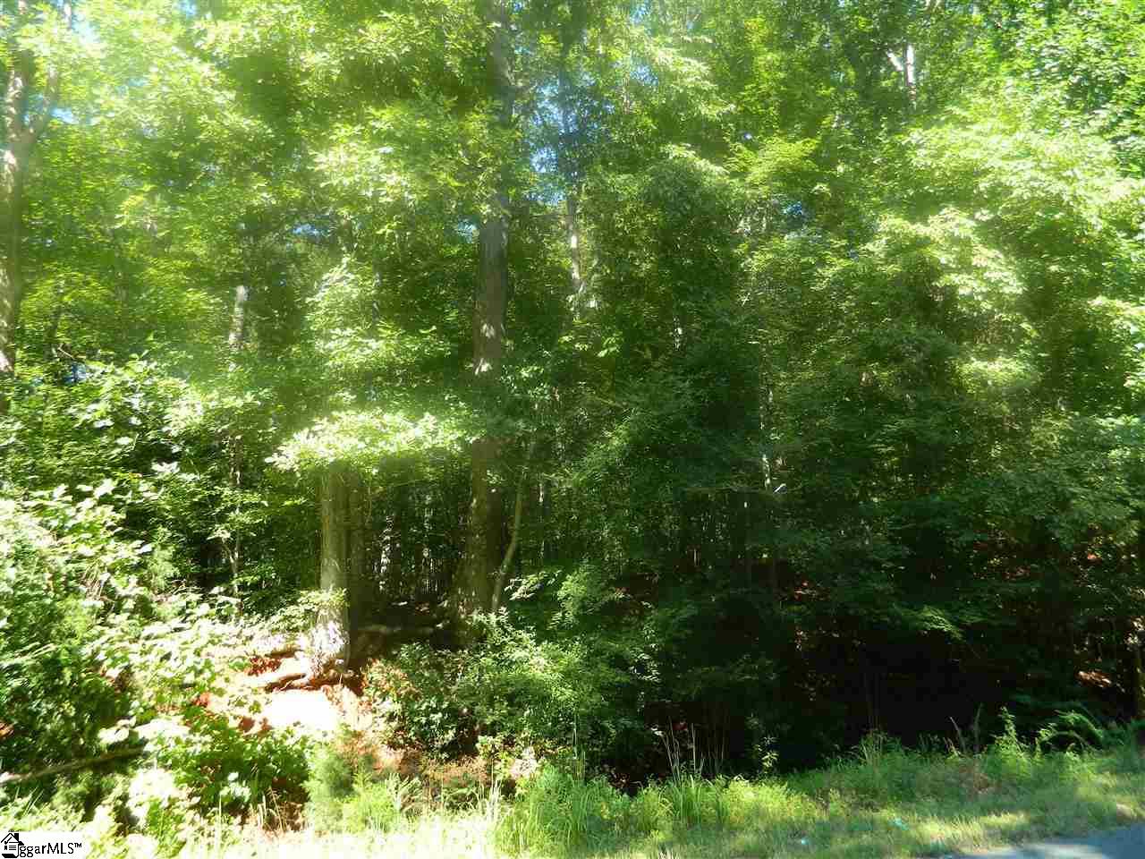 Durbin Church Road Gray Court, SC 29645 - Photo 13 of 23