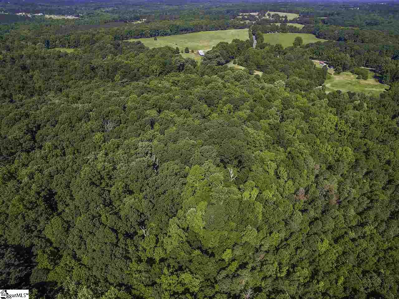 Durbin Church Road Gray Court, SC 29645 - Photo 20 of 23