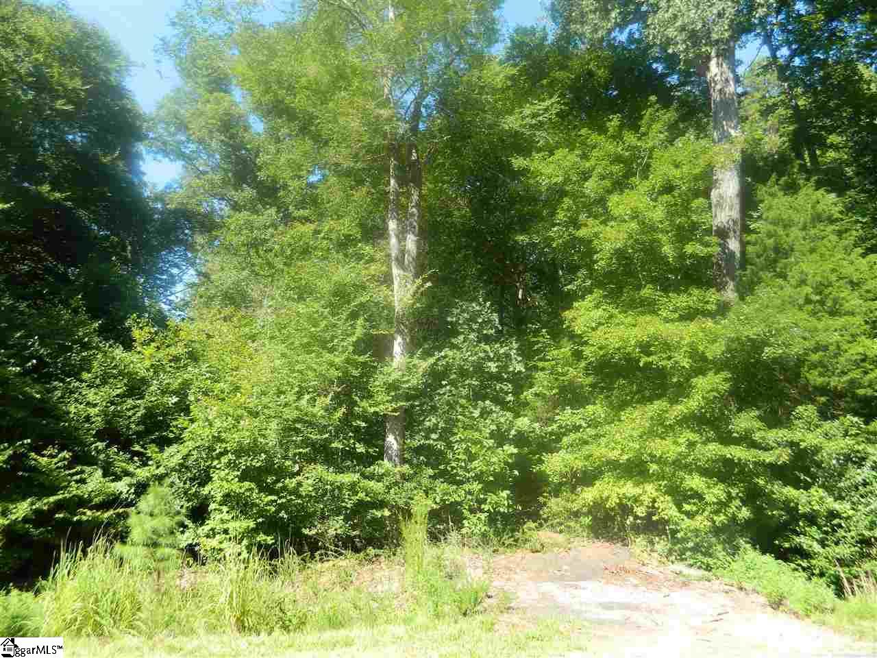 Durbin Church Road Gray Court, SC 29645 - Photo 3 of 23