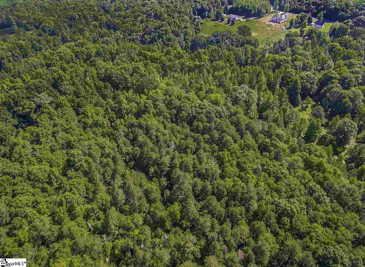 Durbin Church Road Gray Court, SC 29645 - Photo 22 of 23