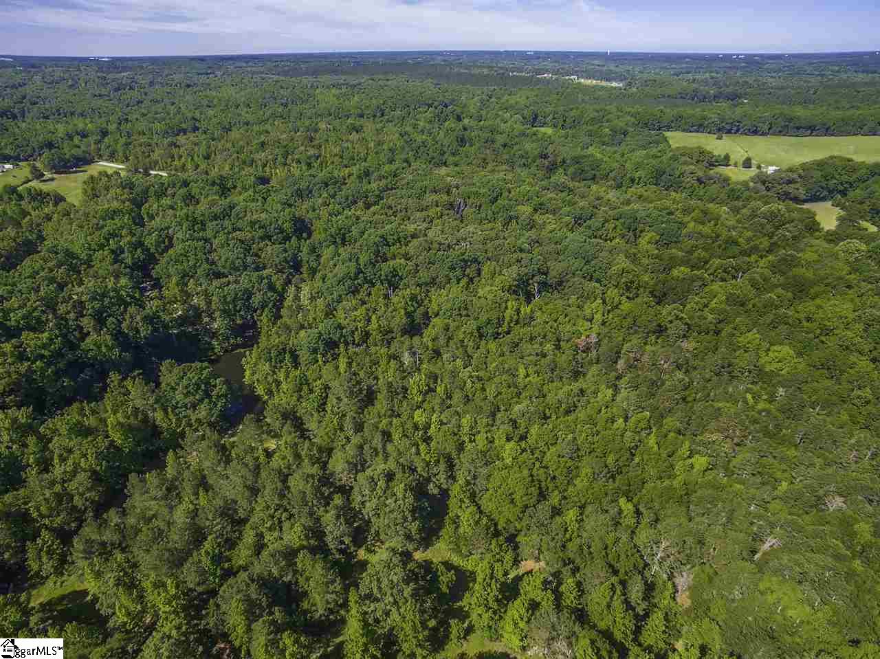 Durbin Church Road Gray Court, SC 29645 - Photo 23 of 23