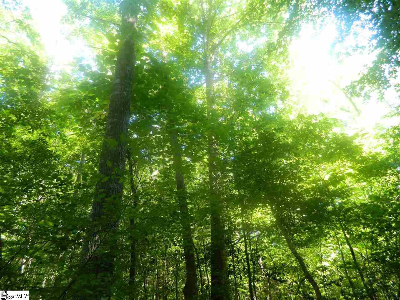 Durbin Church Road Gray Court, SC 29645 - Photo 4 of 23