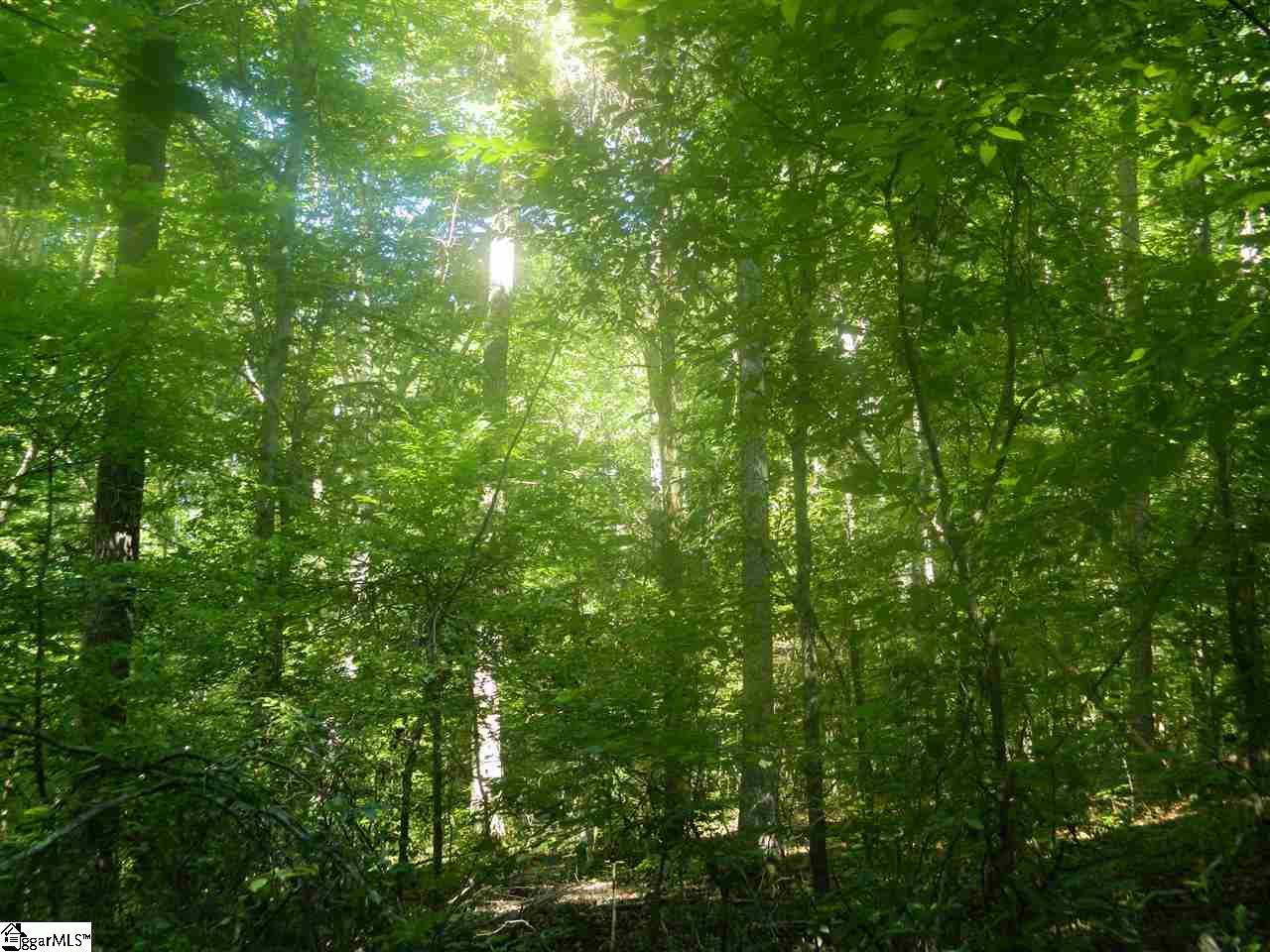 Durbin Church Road Gray Court, SC 29645 - Photo 5 of 23