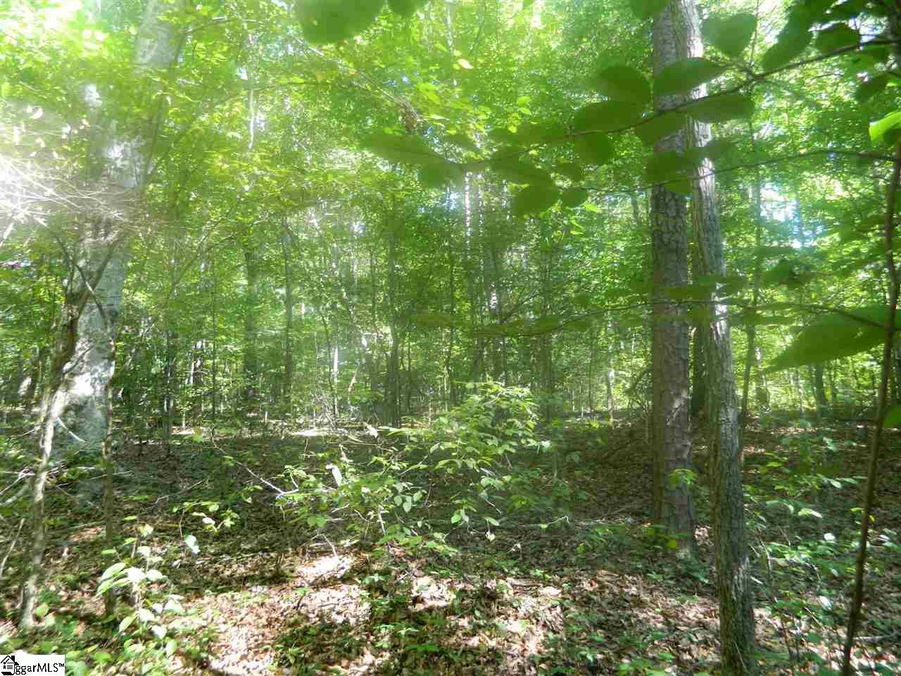 Durbin Church Road Gray Court, SC 29645 - Photo 6 of 23