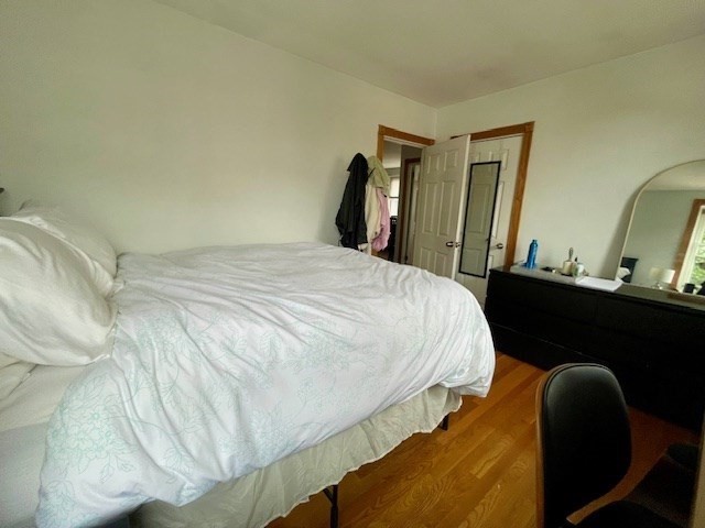 125 Farragut Road, Unit 46 Boston, MA 02127 - Photo 14 of 15 a bedroom with a bed and walk in closet