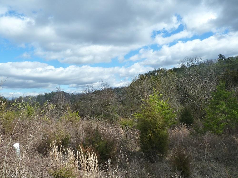 Rainbow Ridge Way Sevierville, TN 37862 - Photo 14 of 22 P1240191