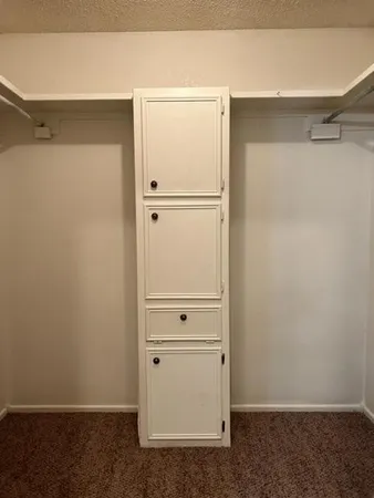 a view of walk in closet with cabinet
