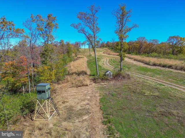 a view of a garden with a slide