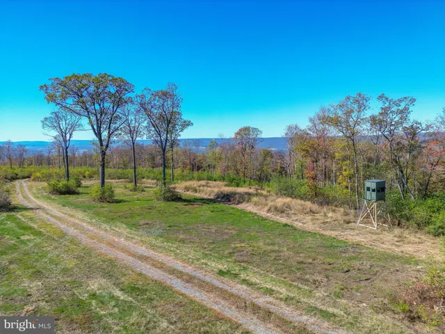 a view of a backyard with a fountain