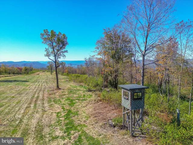a view of a field with an trees