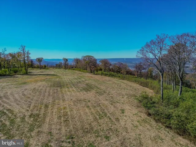 a view of a yard with an ocean beach
