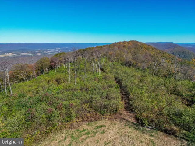 a view of a field with a yard
