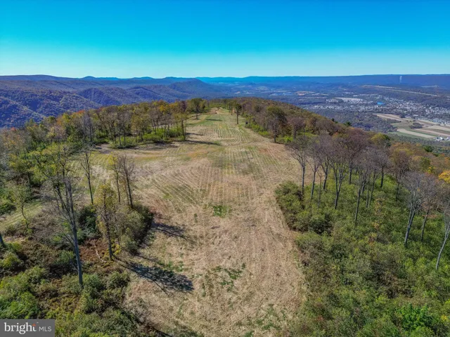 a view of a field with an ocean