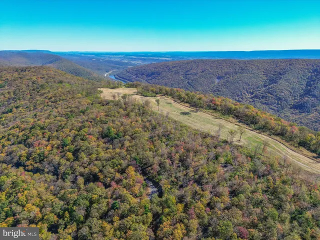a view of a garden with a fountain