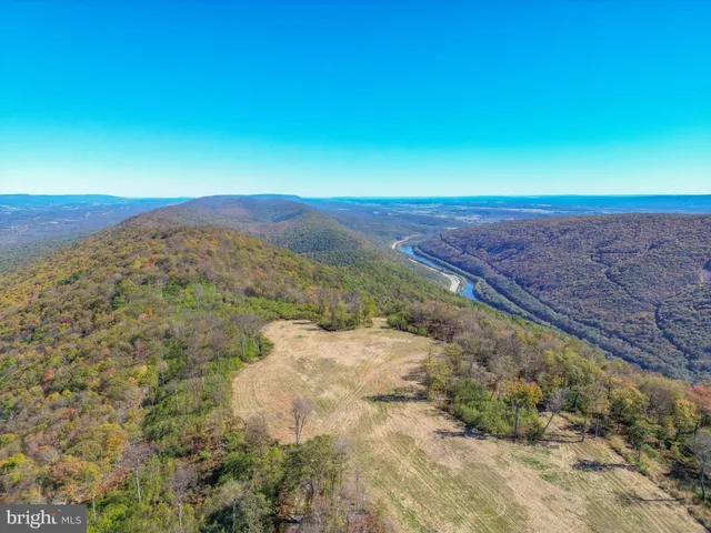 a yellow house with trees in front of it