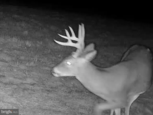 a view of water heater room
