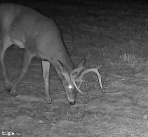 a close view of a shower in the bathroom