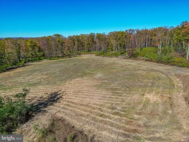 a view of a yard with an outdoor space