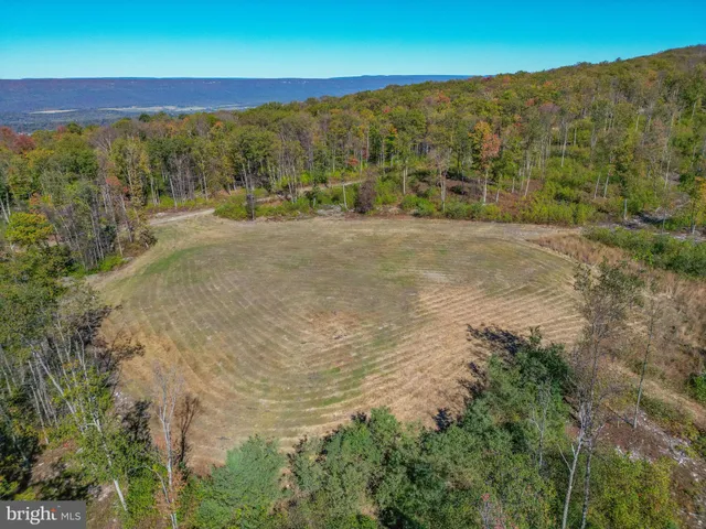 a view of a dry yard with wooden floor and fence