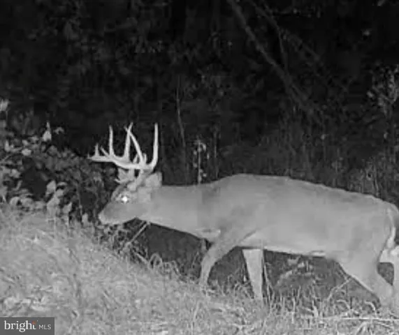 $1,895,000 | 1800 Longview Drive, Lewistown, PA 17044