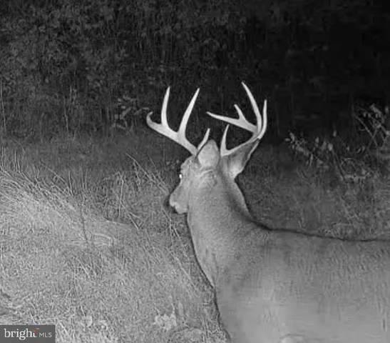 $1,895,000 | 1800 Longview Drive, Lewistown, PA 17044