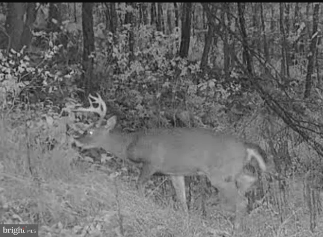 $1,895,000 | 1800 Longview Drive, Lewistown, PA 17044