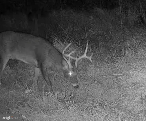 $1,895,000 | 1800 Longview Drive, Lewistown, PA 17044