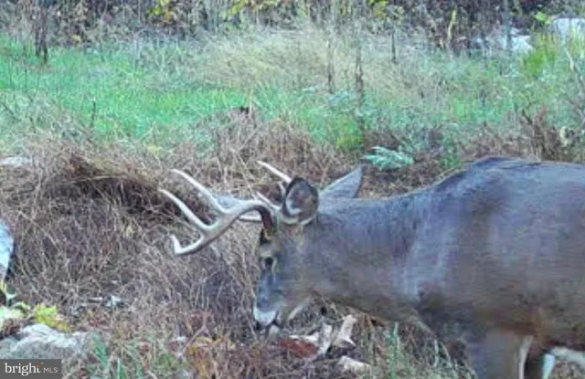 $1,895,000 | 1800 Longview Drive, Lewistown, PA 17044