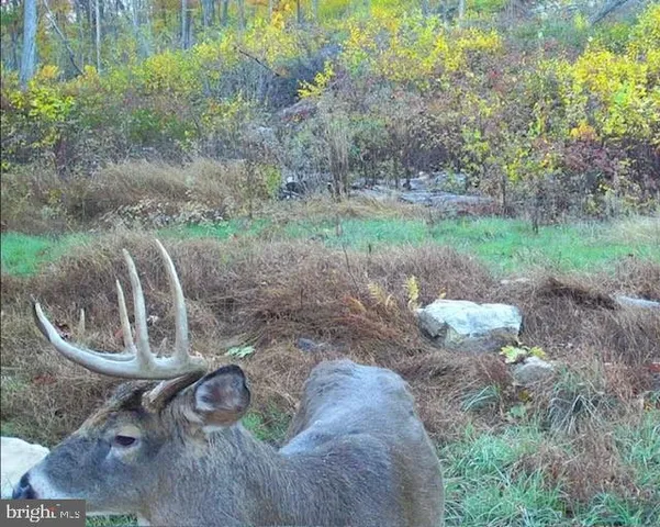 $1,895,000 | 1800 Longview Drive, Lewistown, PA 17044