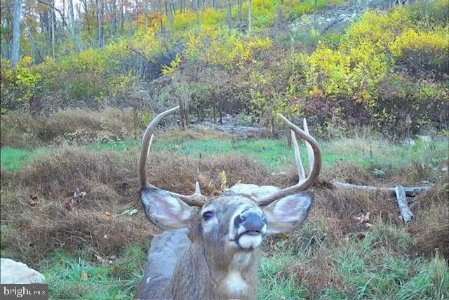 $1,895,000 | 1800 Longview Drive, Lewistown, PA 17044